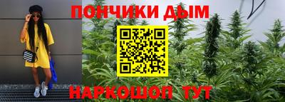 стаф Жуковский