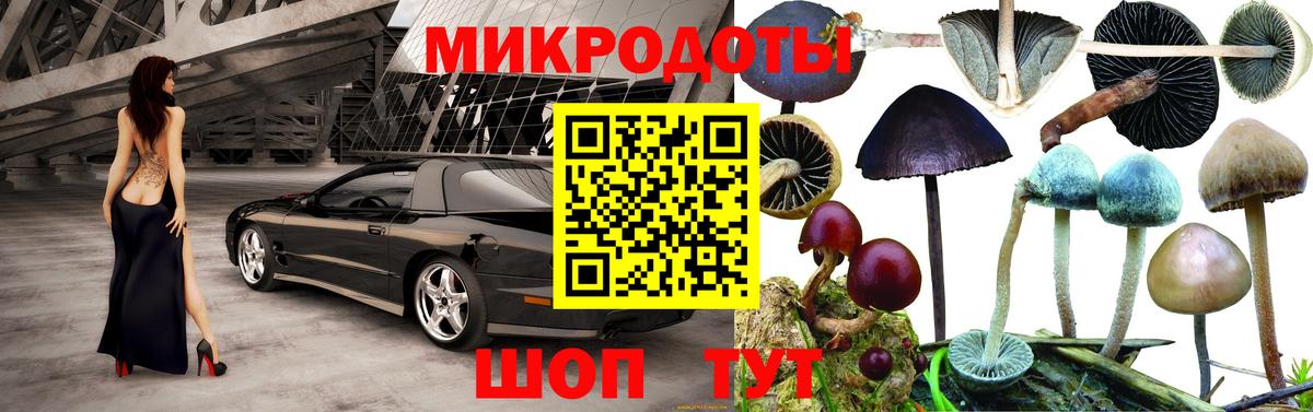 Димитровград  Галлюциногенные грибы MAGIC MUSHROOMS  купить   Галлюциногенные грибы Cubensis  Вход с VPN 